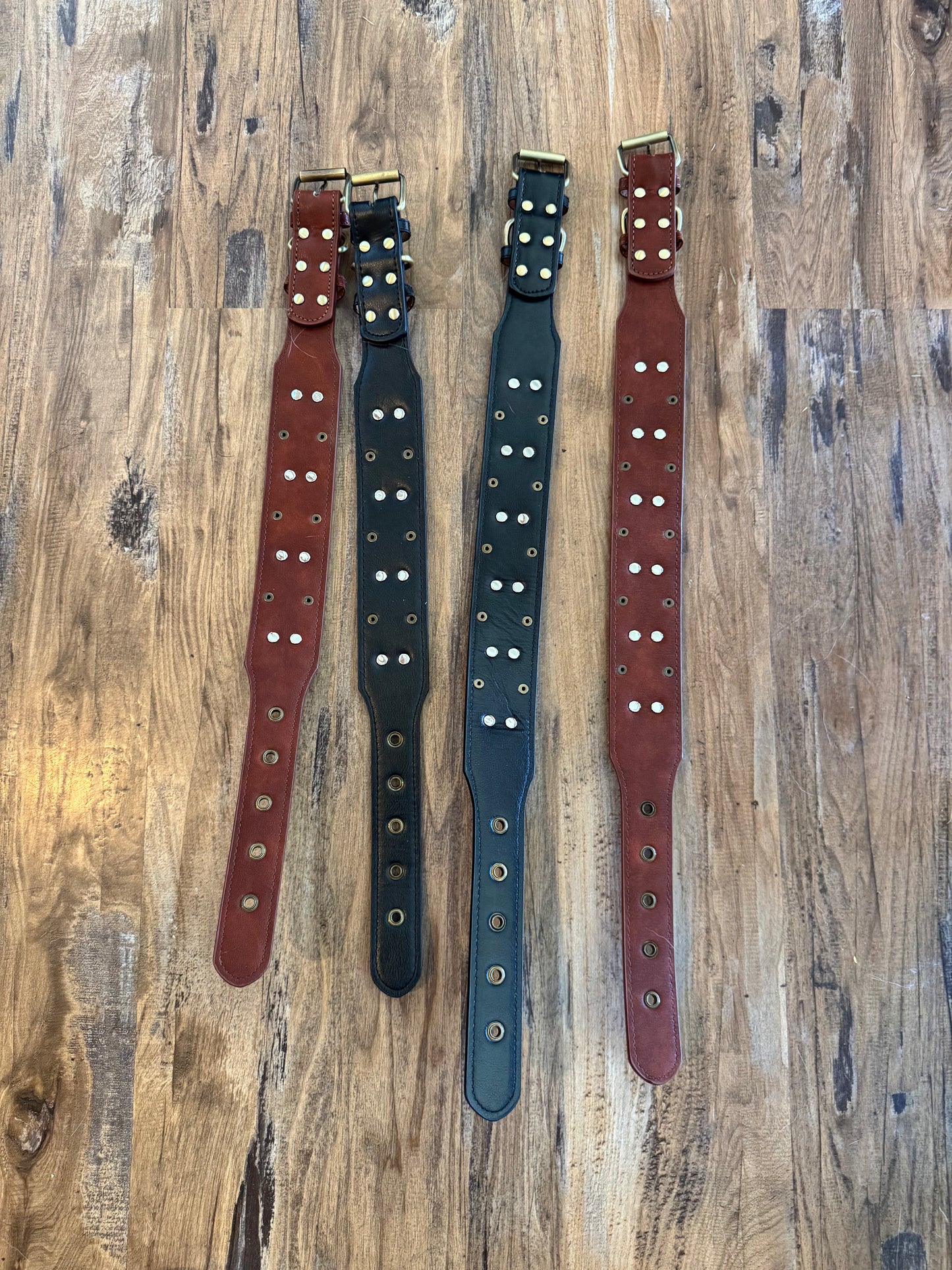 Dog Collars